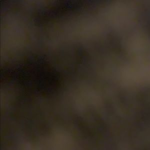 Meet your Posher, Ava